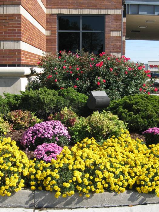 Lawrence, KS Landscaping, Retaining Walls, Annuals and Perennials, Landscape Design, Rock Walls