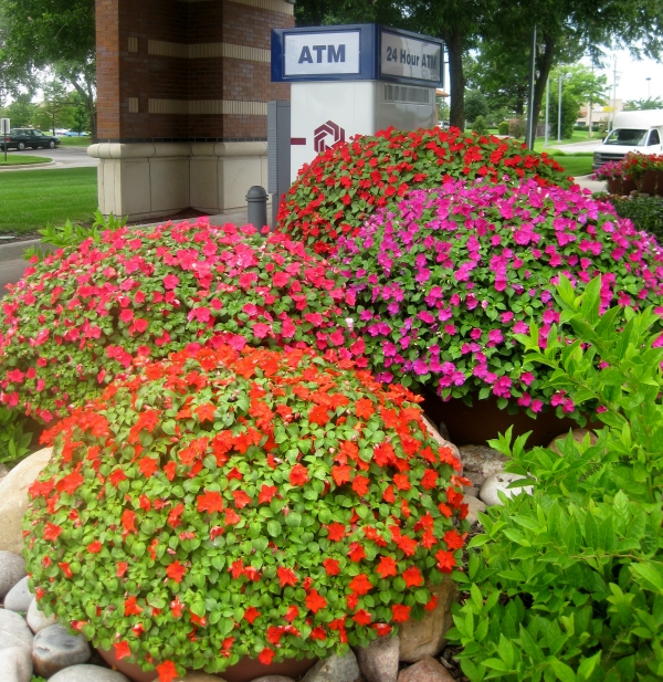 Lawrence, KS Landscape Design Annuals and Perennials Planting Flowers
