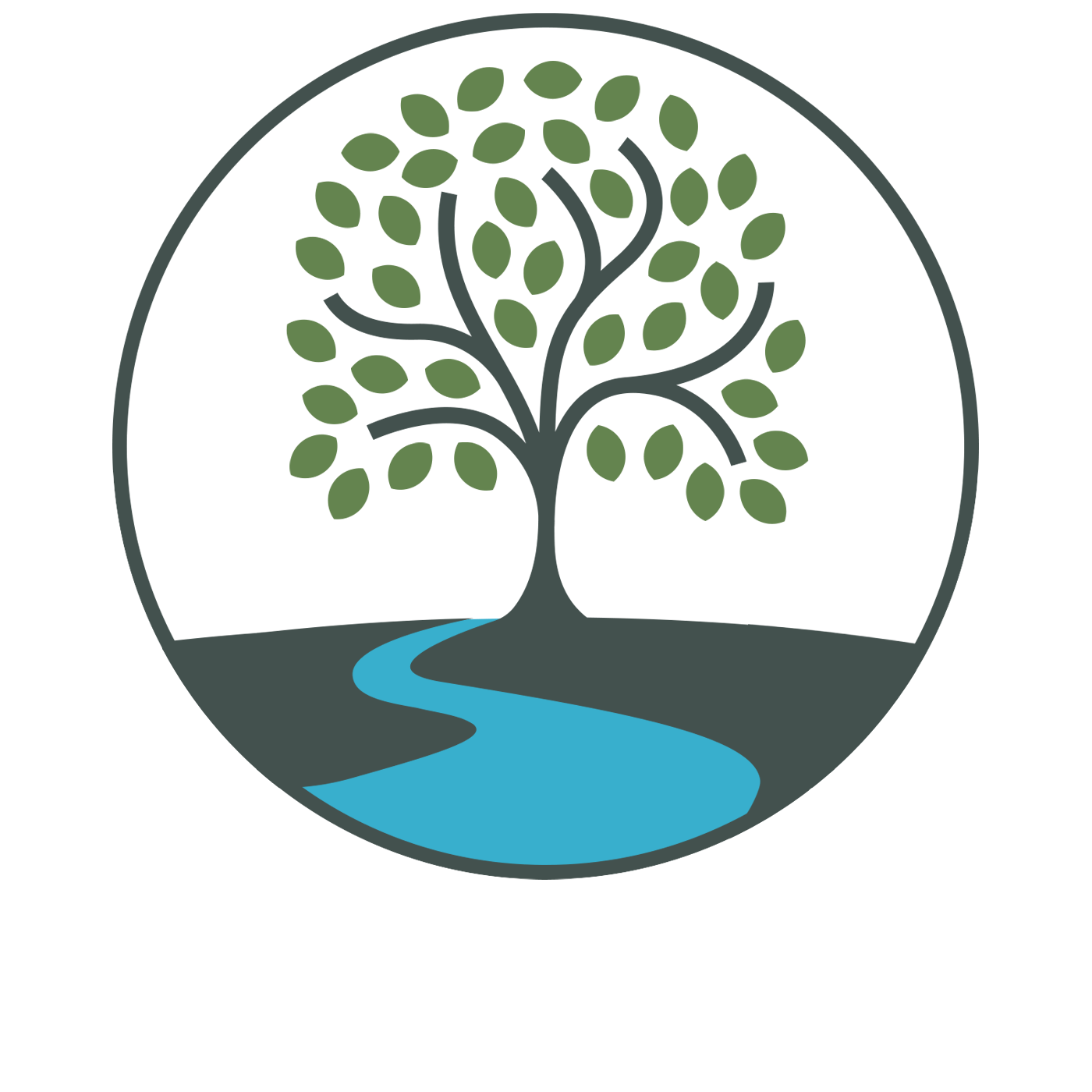Willow River Wealth Management