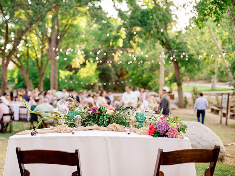 About Us The Willows at CALM Zoo Event Venue 6618722256 10500