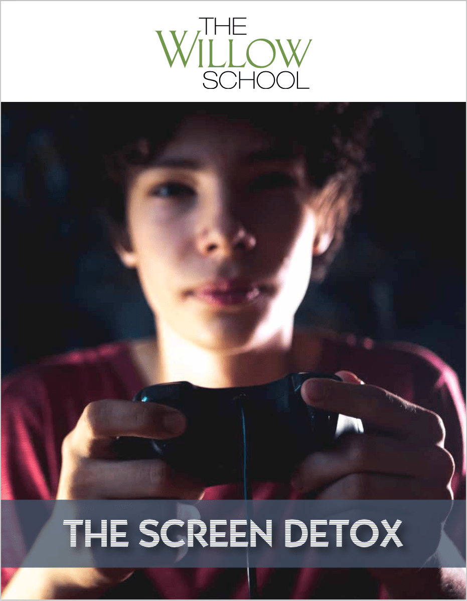 Screen Detox 2020 The Willow School