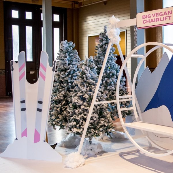 Christmas Tree Hire Melbourne Willow Tree Events