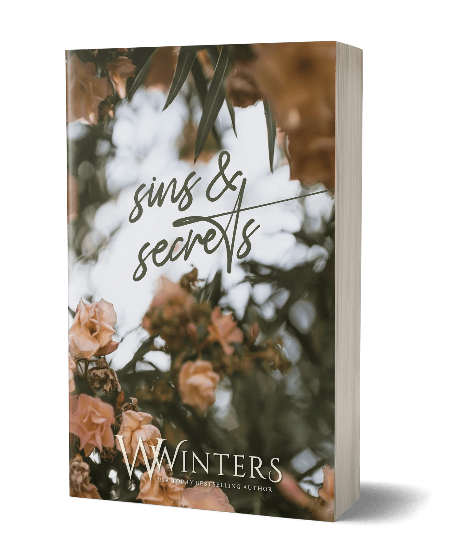 Sins & Secrets Willow Winters Publishing LLC