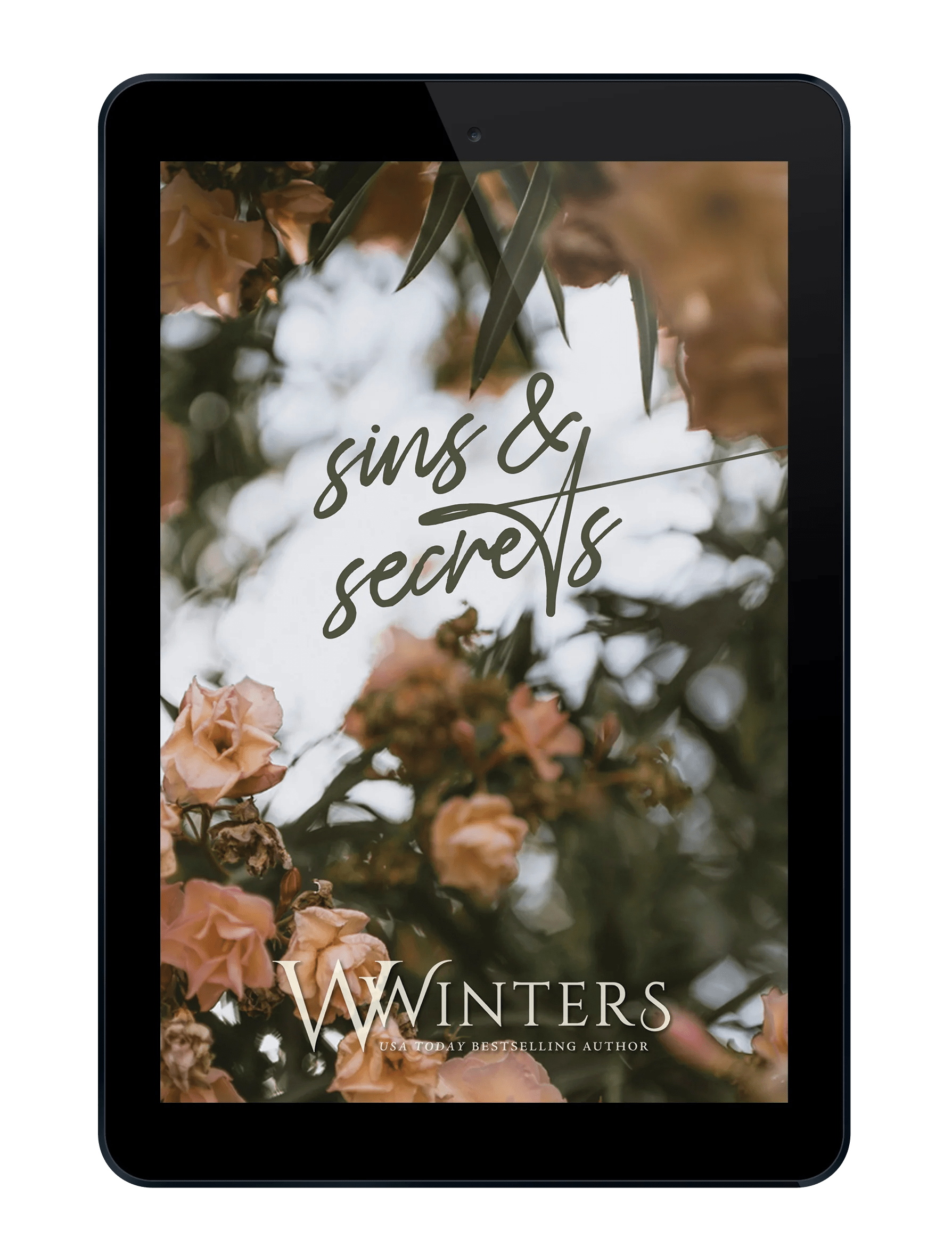 Sins & Secrets Willow Winters Publishing LLC