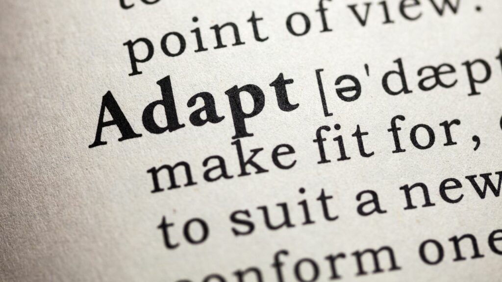 Another Way to Say Adapt Willow Writes