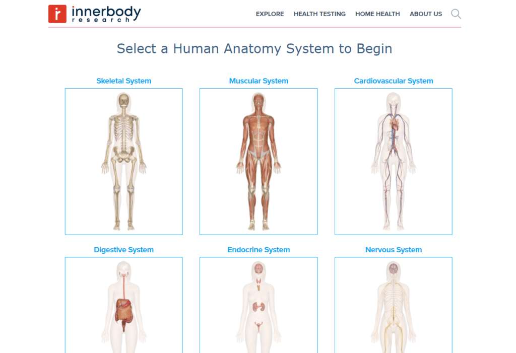 5 Best Free Anatomy sites (For Medical Students & Beyond)! willpeachMD