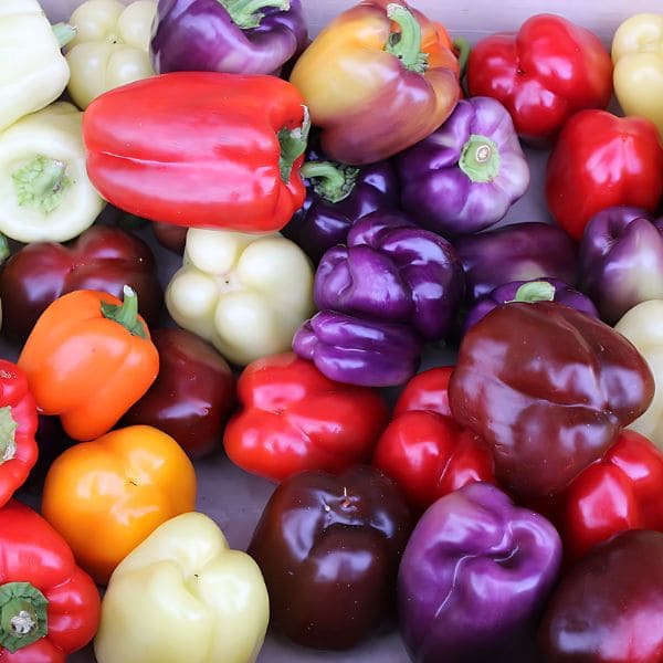 Do Green Bell Peppers Turn Red? Tips to Ripen Bell Peppers
