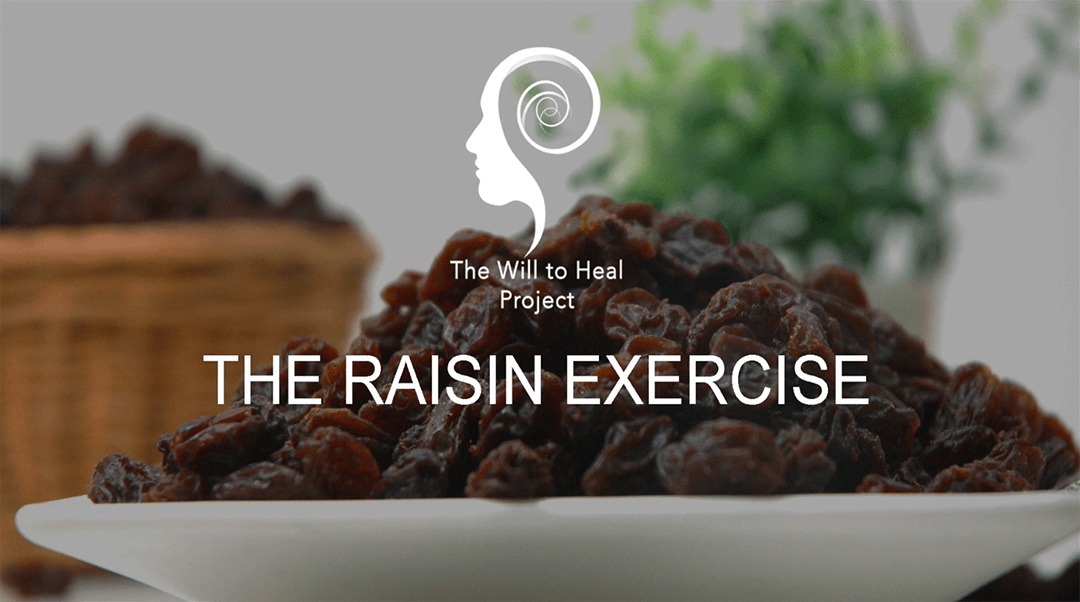 Mindful Eating The Raisin Exercise The Will to Heal Project