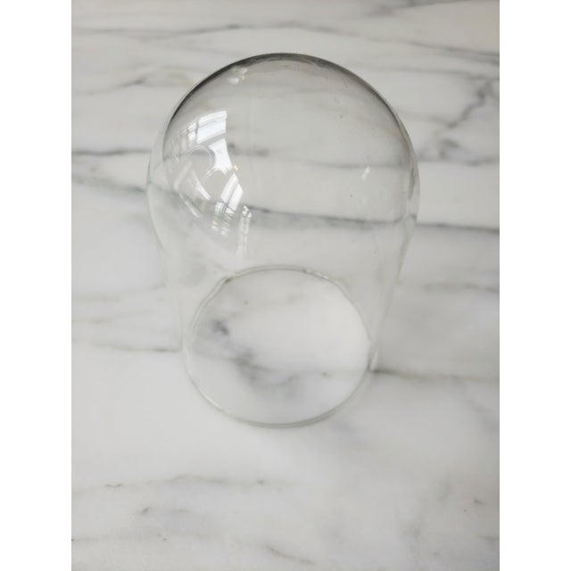 Wick Design Mini Glass Dome Wick Design