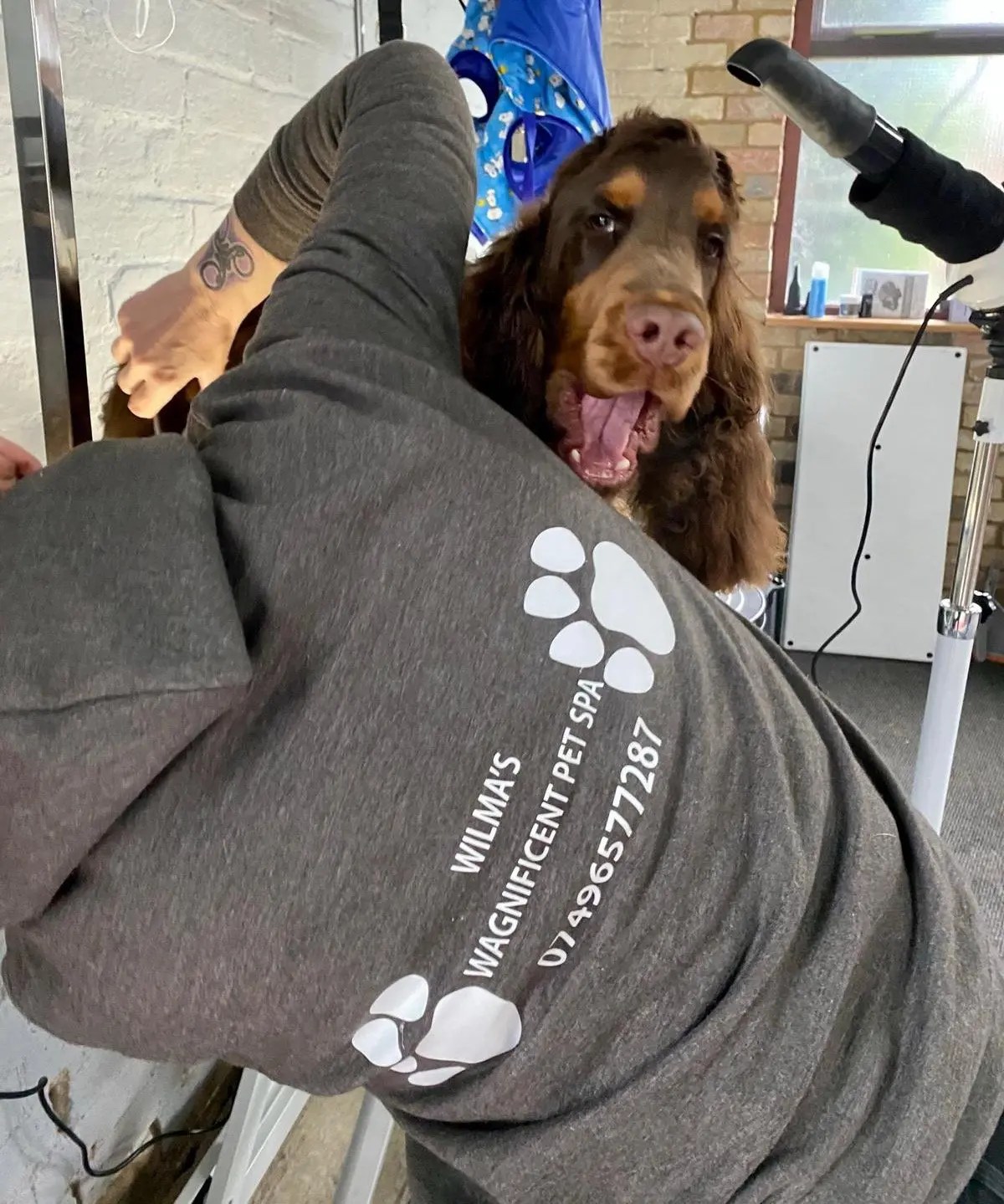 Wilmas Wagnificent Pet Spa Dog Grooming Photo Gallery