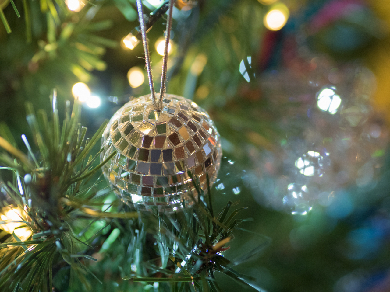 Christmas_Trees_01 Wilmslow Methodist Church