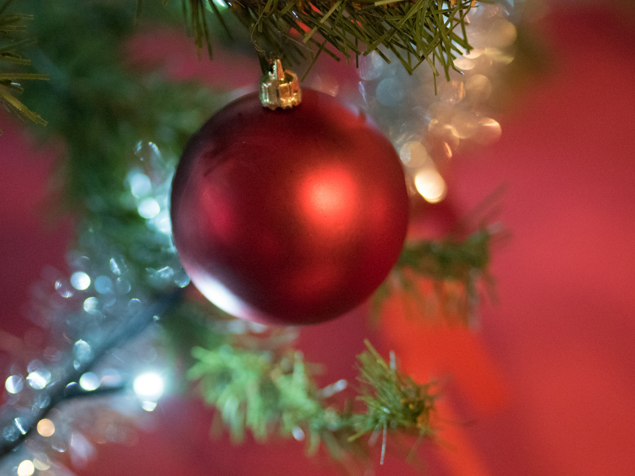 Christmas_Trees_02 Wilmslow Methodist Church