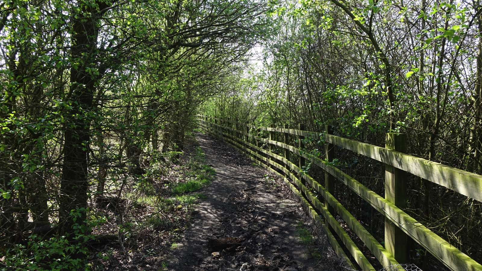 Yew Tree Farm to Oversley Lodge Farm