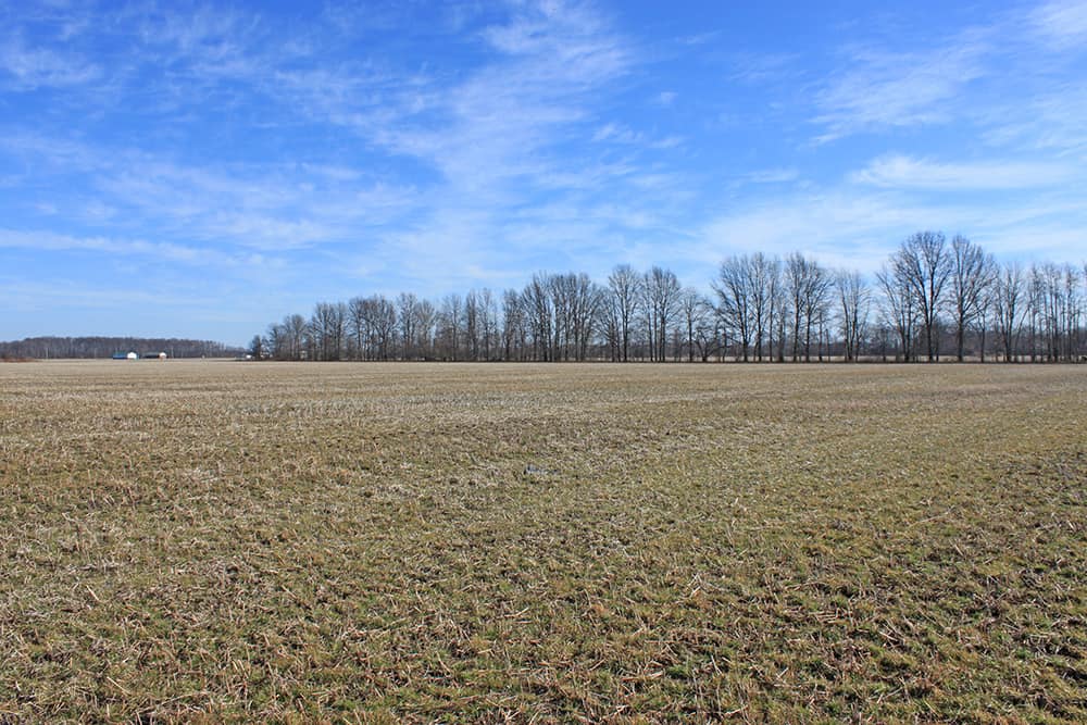 411 Acres Clermont County Auction Wilson National