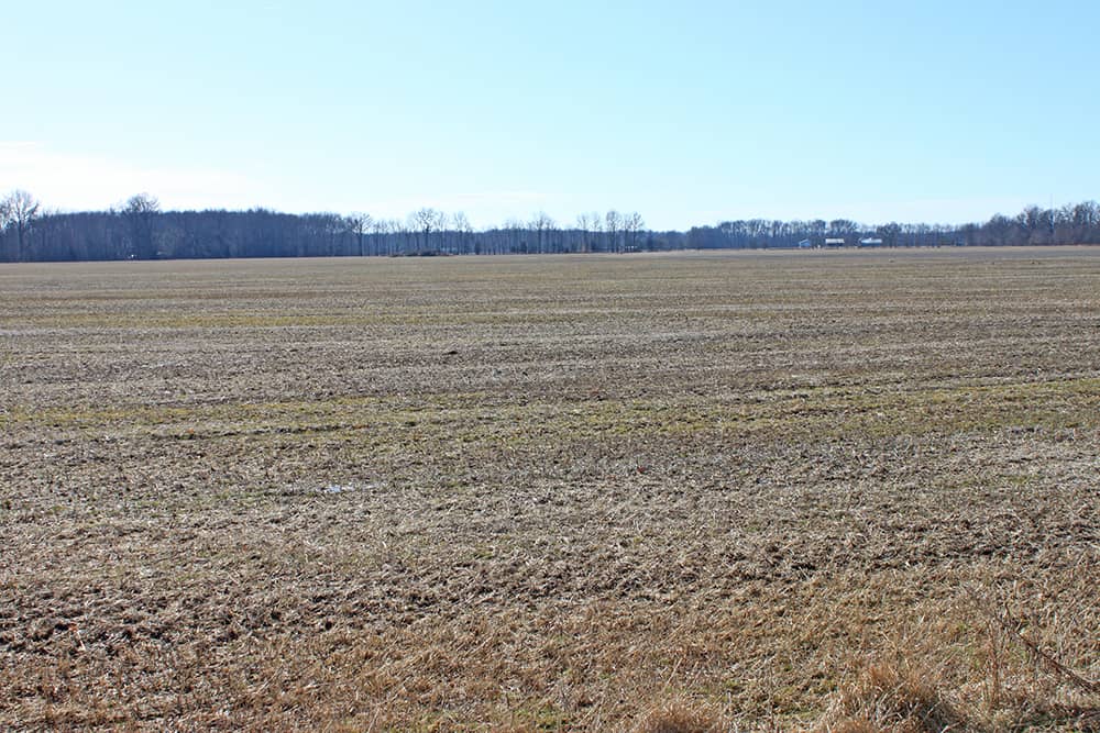 411 Acres Clermont County Auction Wilson National