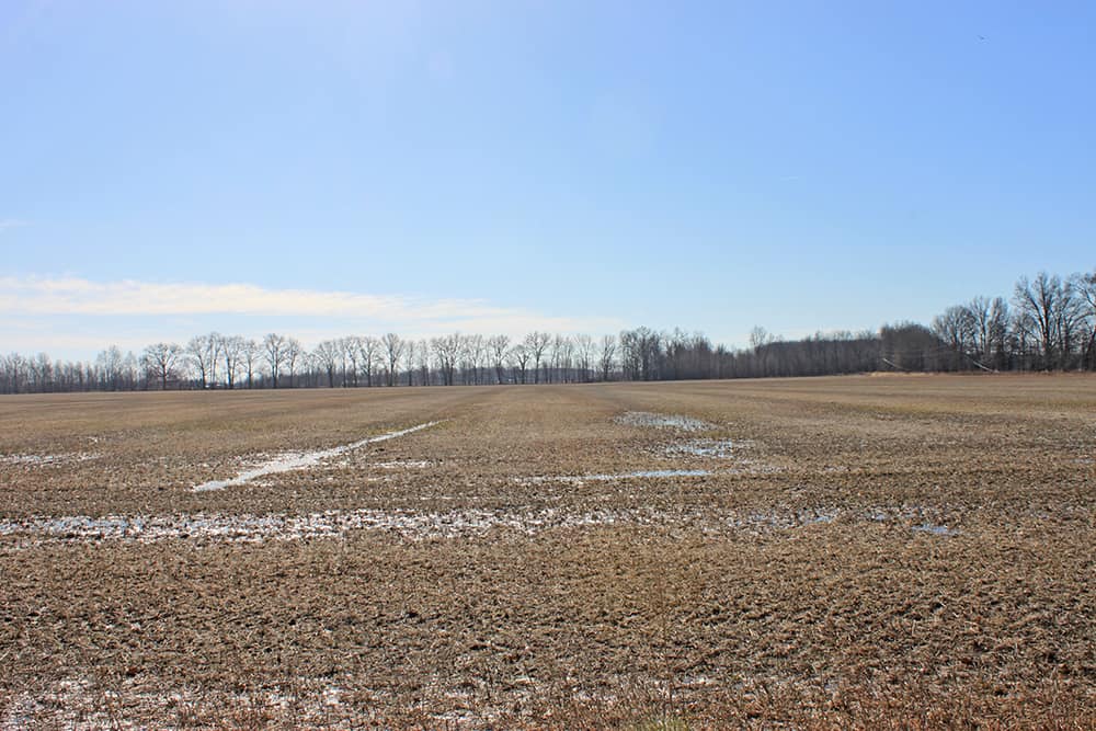 411 Acres Clermont County Auction Wilson National