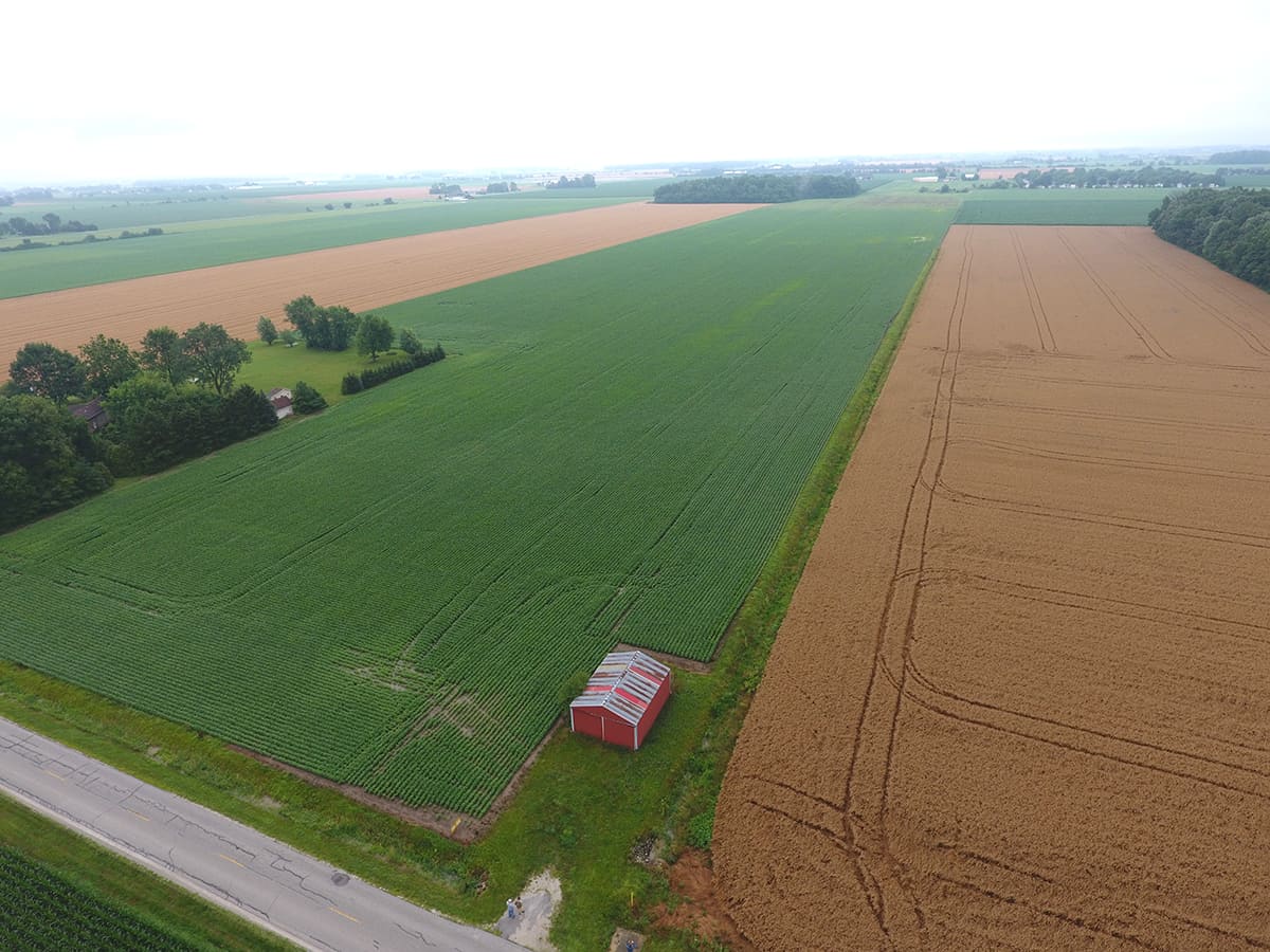 37.7 Acres Wood County, Ohio Wilson National