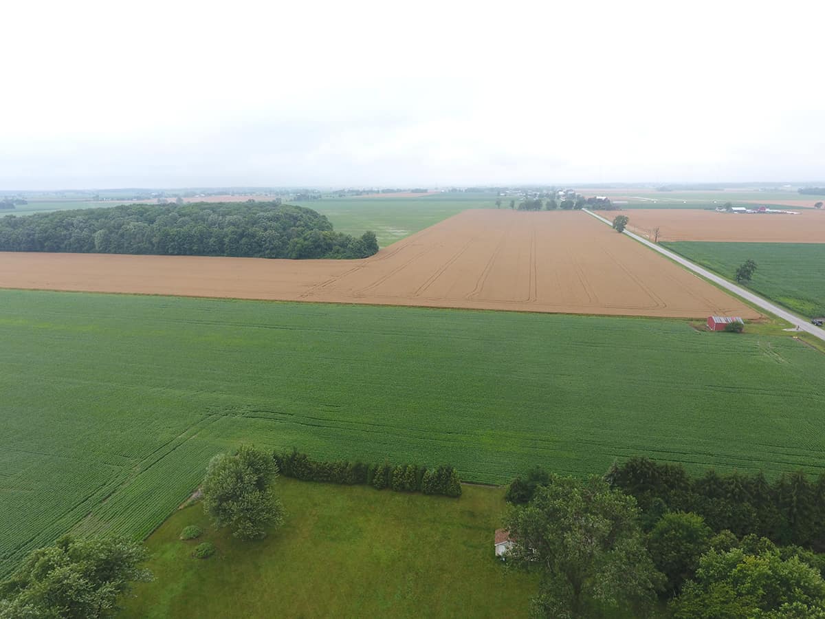 37.7 Acres Wood County, Ohio Wilson National