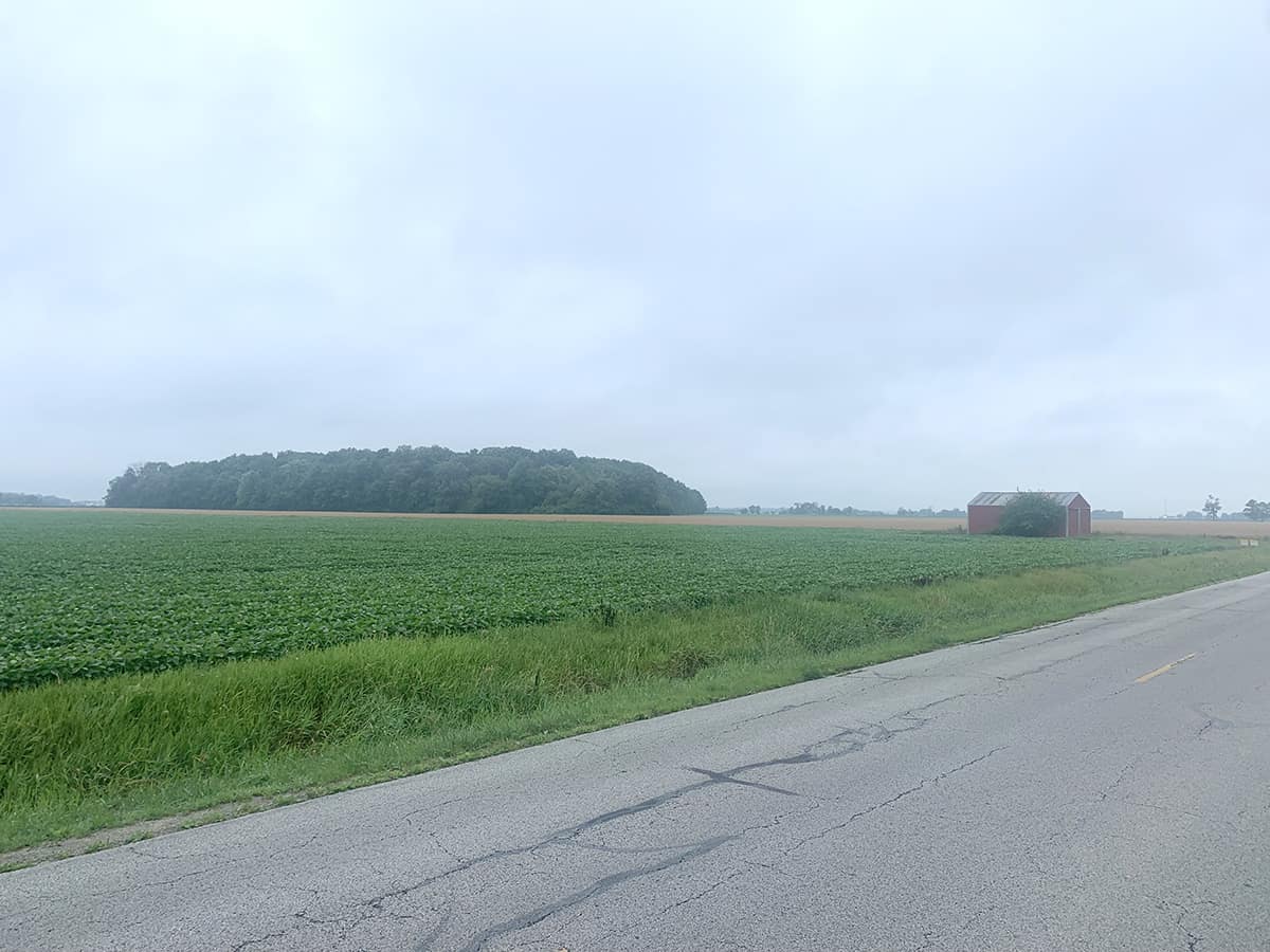 37.7 Acres Wood County, Ohio Wilson National