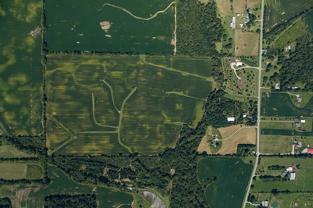 AUCTION 80.5 ACRES MADISON COUNTY Wilson National