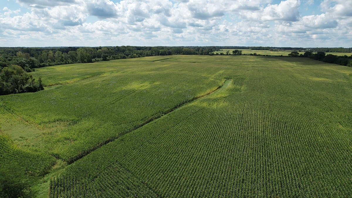AUCTION 80.5 ACRES MADISON COUNTY Wilson National