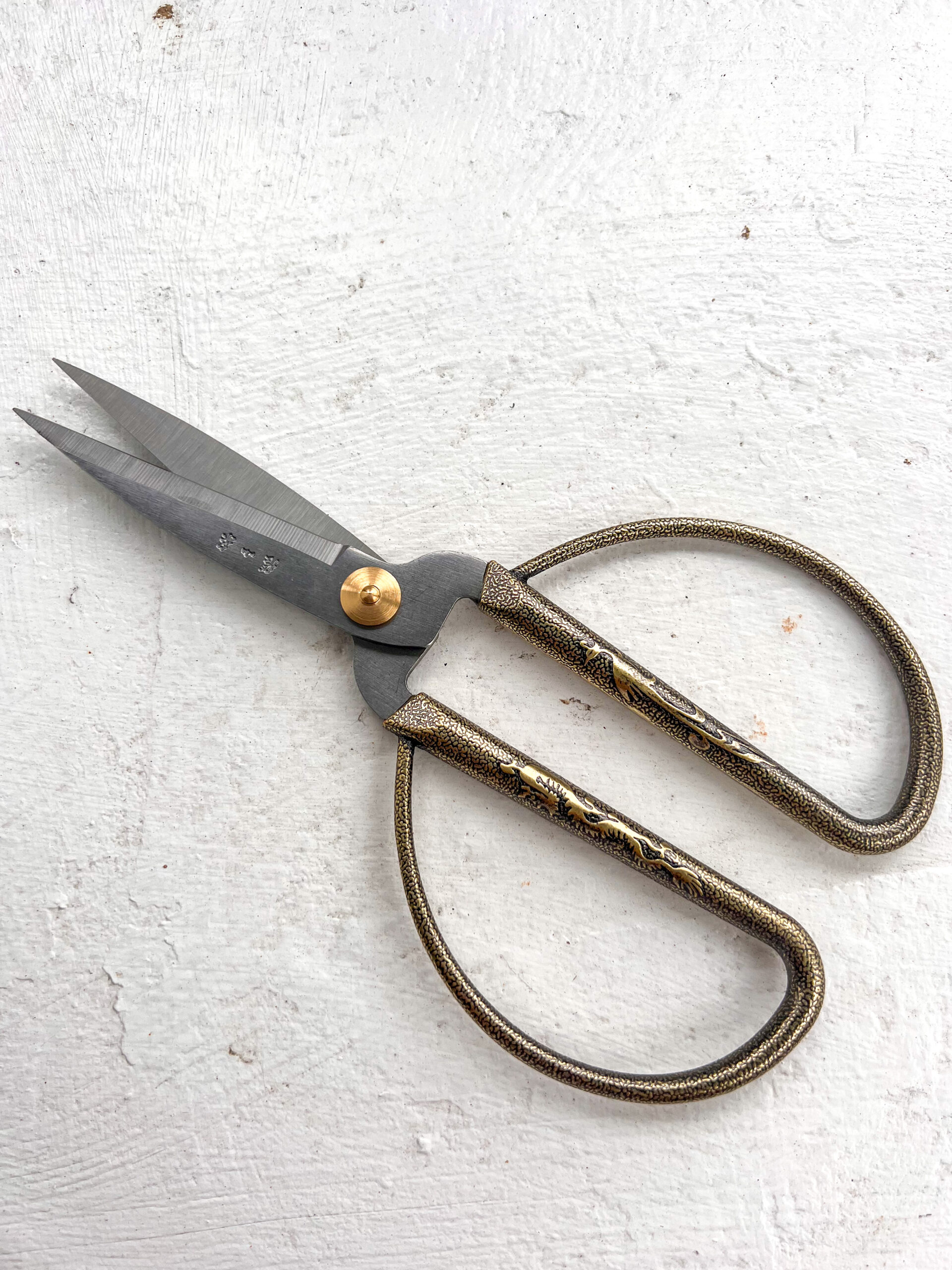 Everyday Vintage Old Gold Scissors Wilson & Co