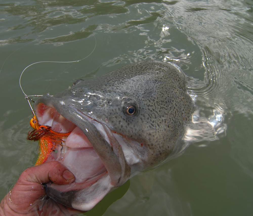 Wilson Fishing The Perfect Cod Rod