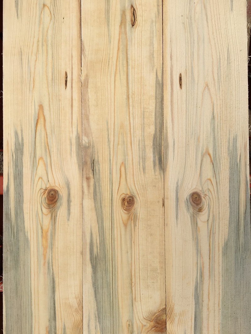 Blue Pine Lumber Southern Oregon Wilson Forest Lands