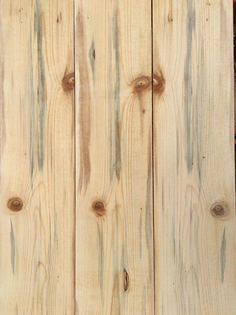 Blue Pine Lumber Southern Oregon Wilson Forest Lands