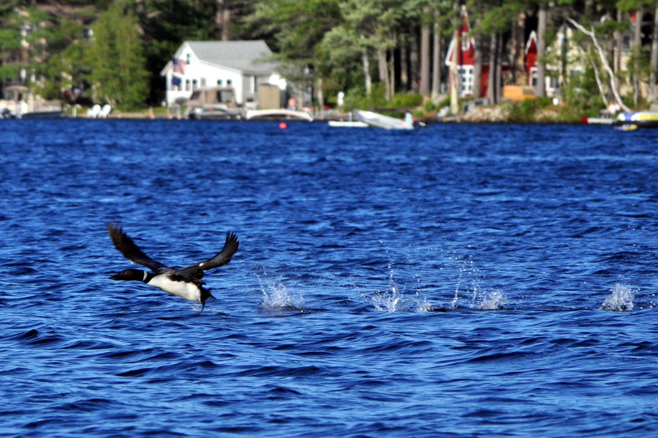 Images Wilson Lake Association