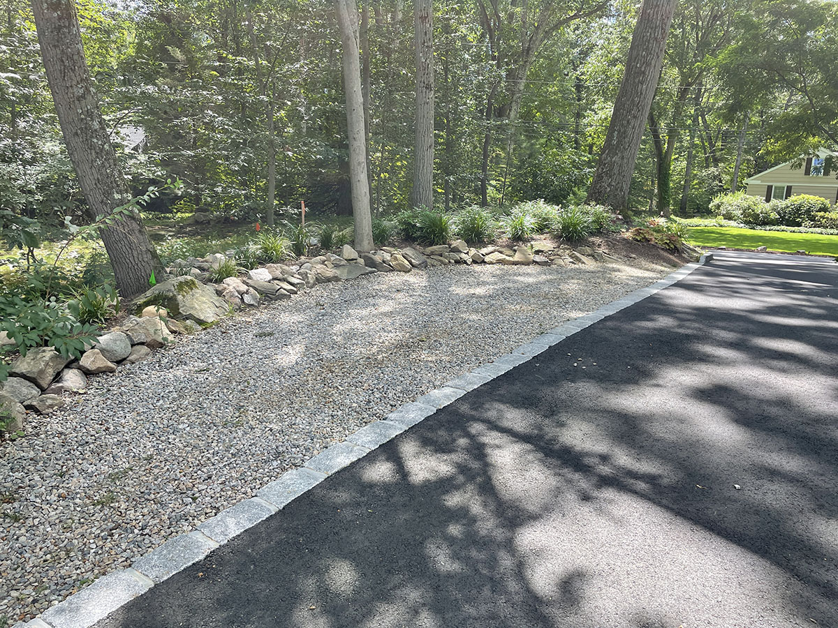 DARIEN SMALL SHADE GARDEN UPDATES Barbara Wilson Landscapes