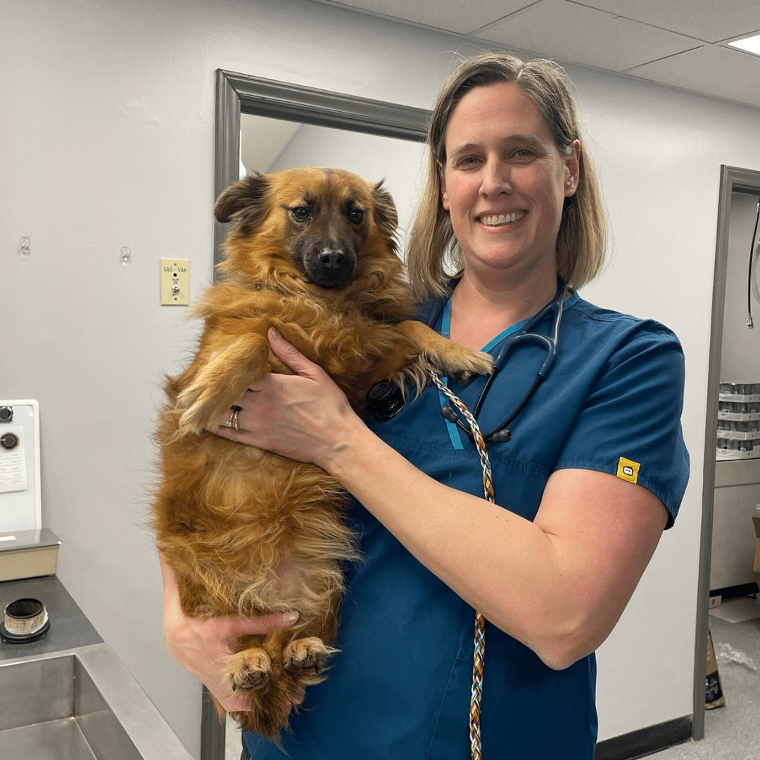 Meet Our Staff Wilson Veterinary Hospital