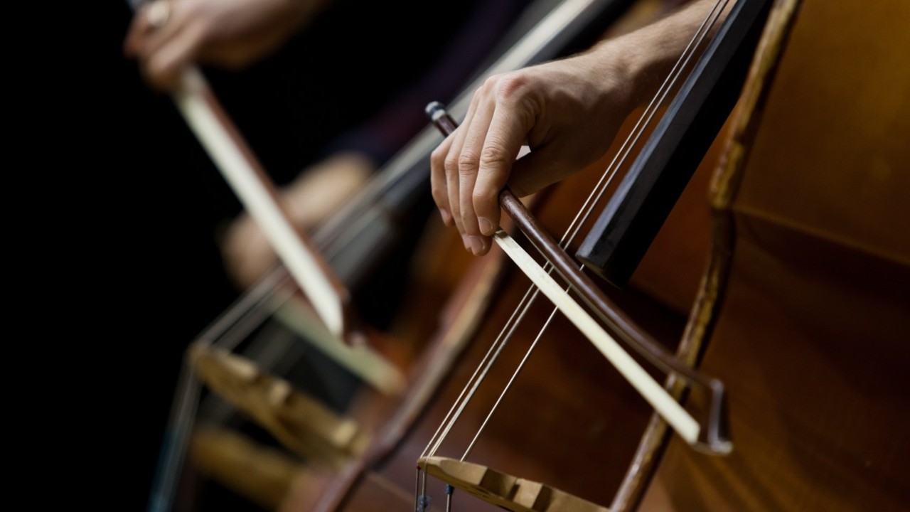 Bass Lessons Near Me Wilton Music Studios