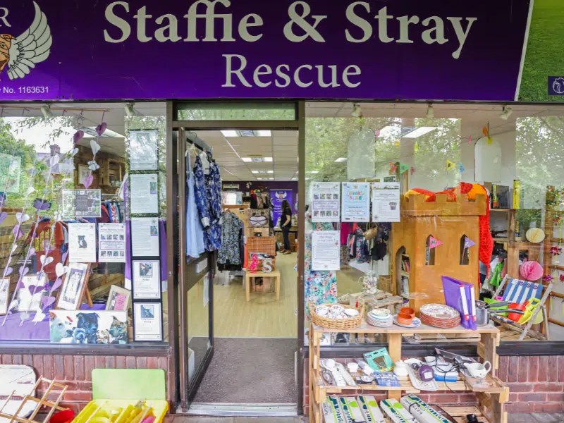 Cats Protection Charity Shop Visit Wimborne site