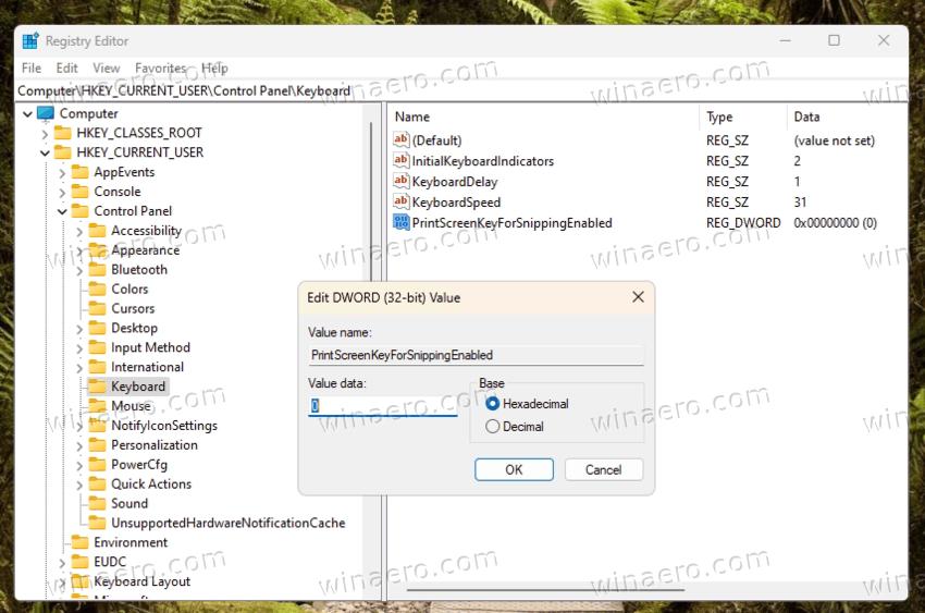 How to disable Print Screen from opening Snipping Tool in Windows 11 and 10