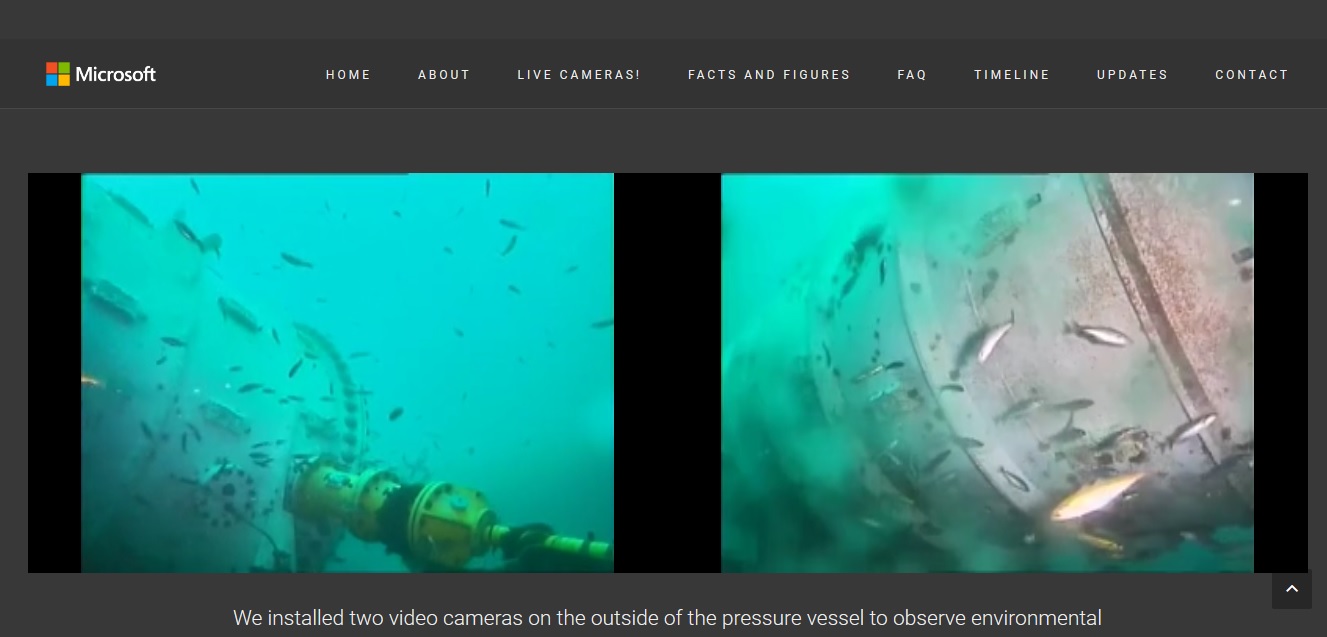Microsoft’s Project Natick Fish Cam Brings Us Up Close and Personal
