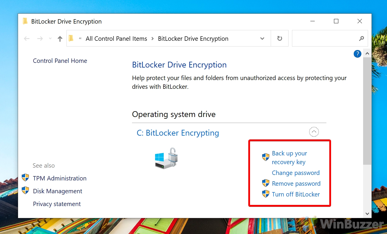 Bitlocker For Windows 10 How To Encrypt Your Hard Drive winbuzzer