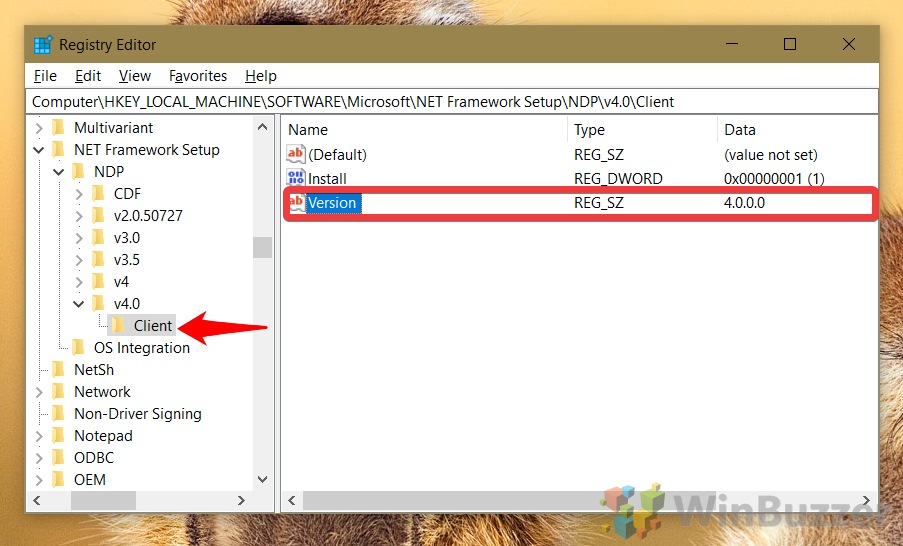 How To Check Your Net Framework Version In A Few Seconds winbuzzer