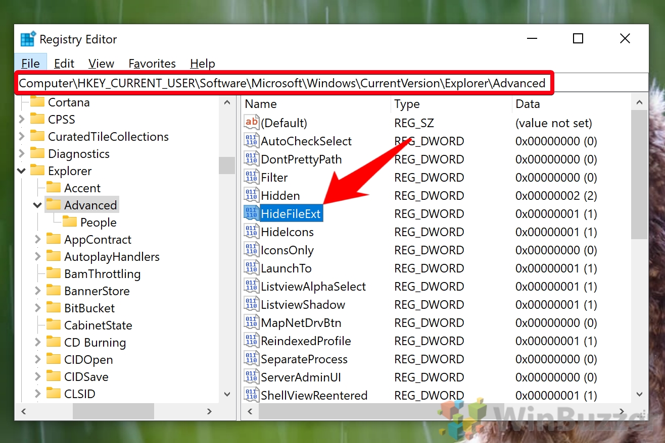 How to Show File Extensions in Windows 10 (3 Methods) WinBuzzer