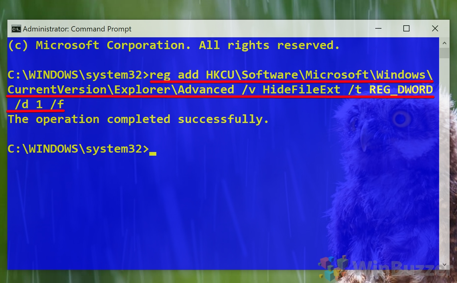 How to Show File Extensions in Windows 10 (3 Methods) WinBuzzer