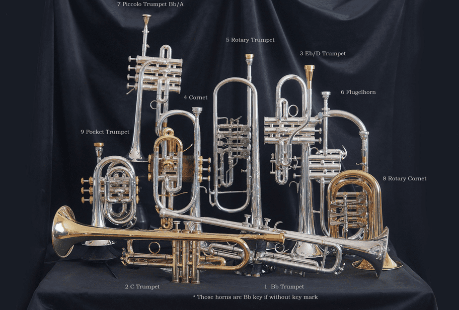 Trumpet Families Wincent