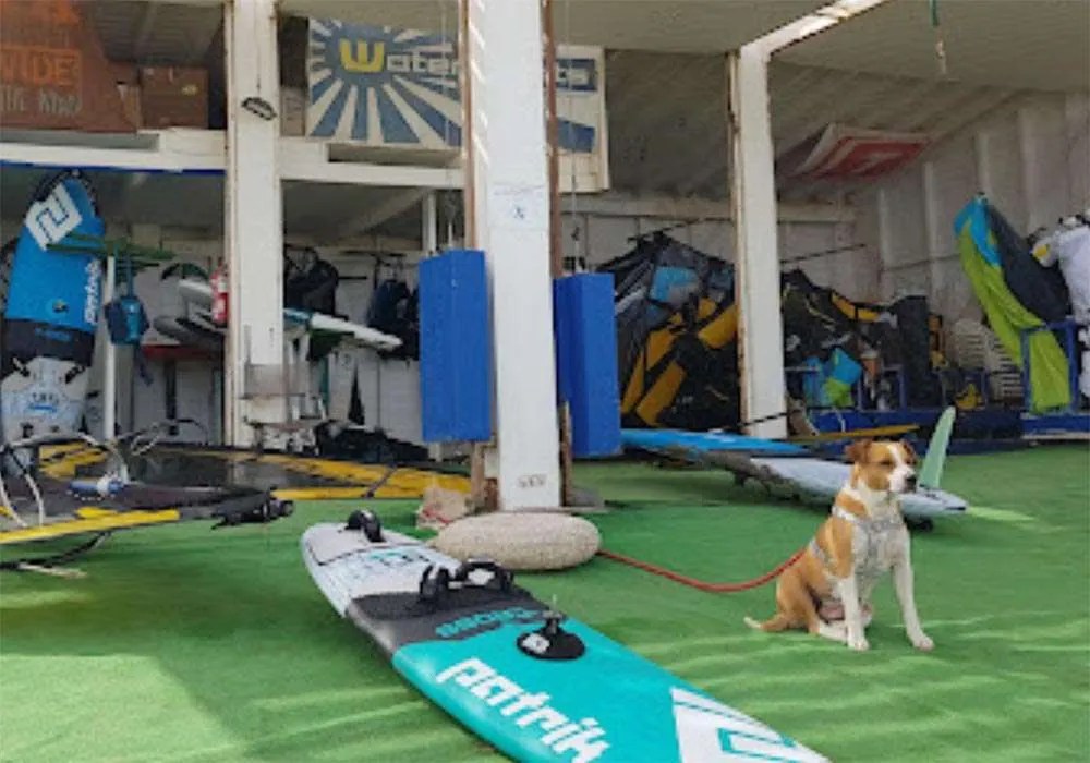 Wing Foiling, Kitesurfing & Windsurfing Rentals Matas Bay