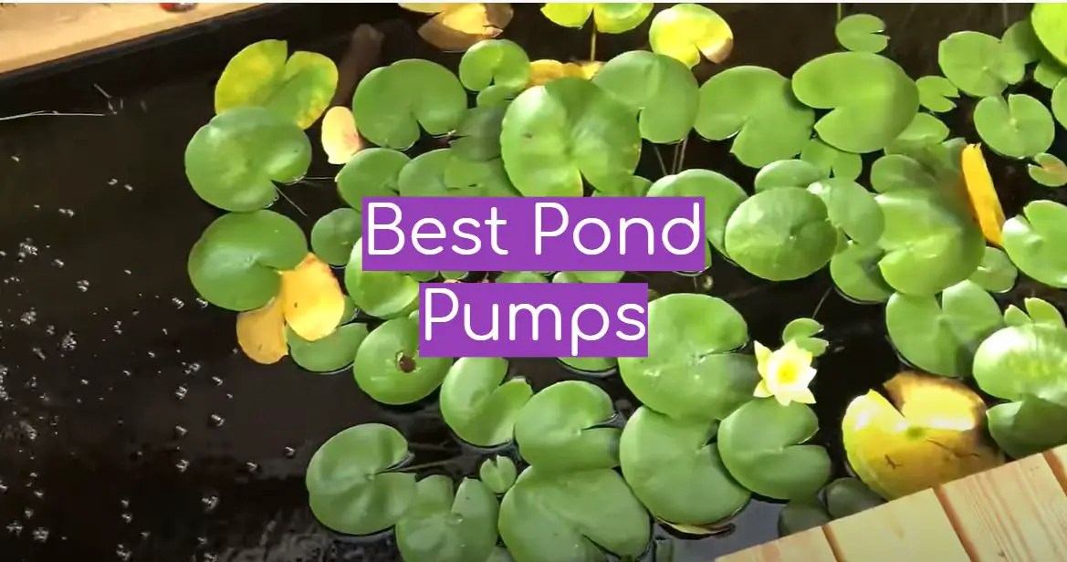 Top 5 Best Pond Pumps [April 2024 Review] WindChimesGuide