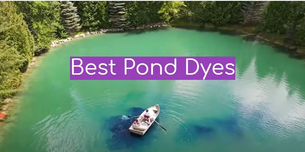 Top 5 Best Pond Dyes [March 2024 Review] WindChimesGuide