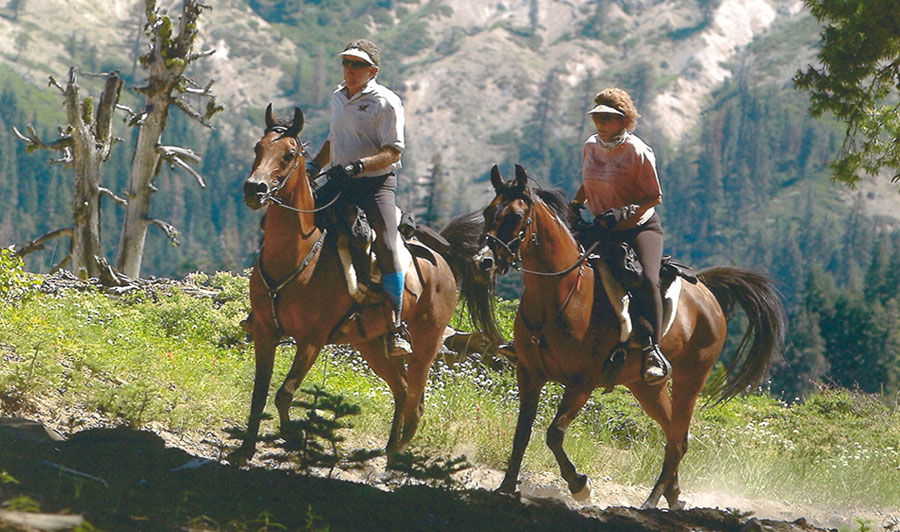 Competitive Trail Riding / Endurance Riding Windfall Ranch