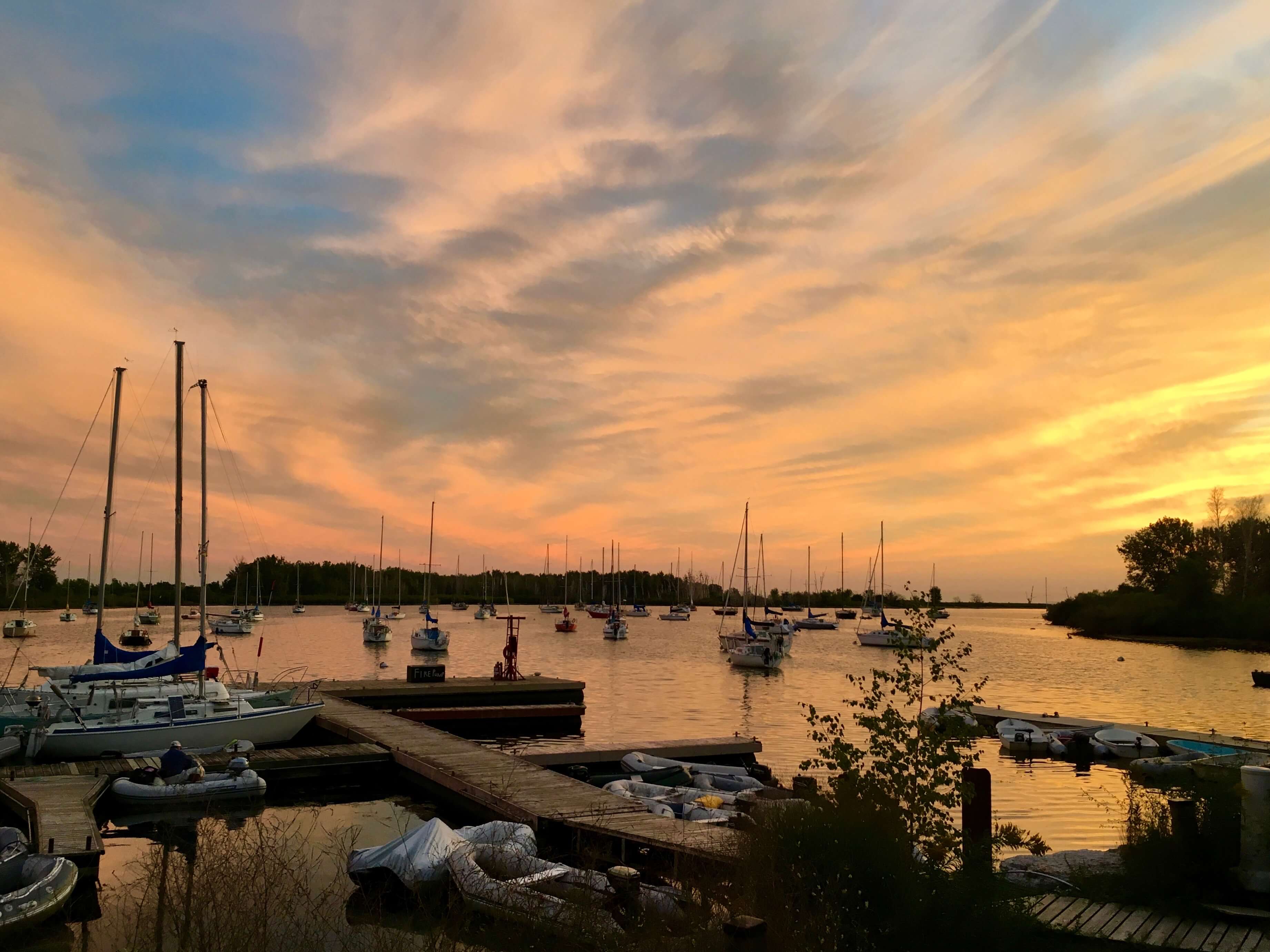 Toronto's Hidden Sailing Gem Aquatic Park Sailing Club • Windfaring