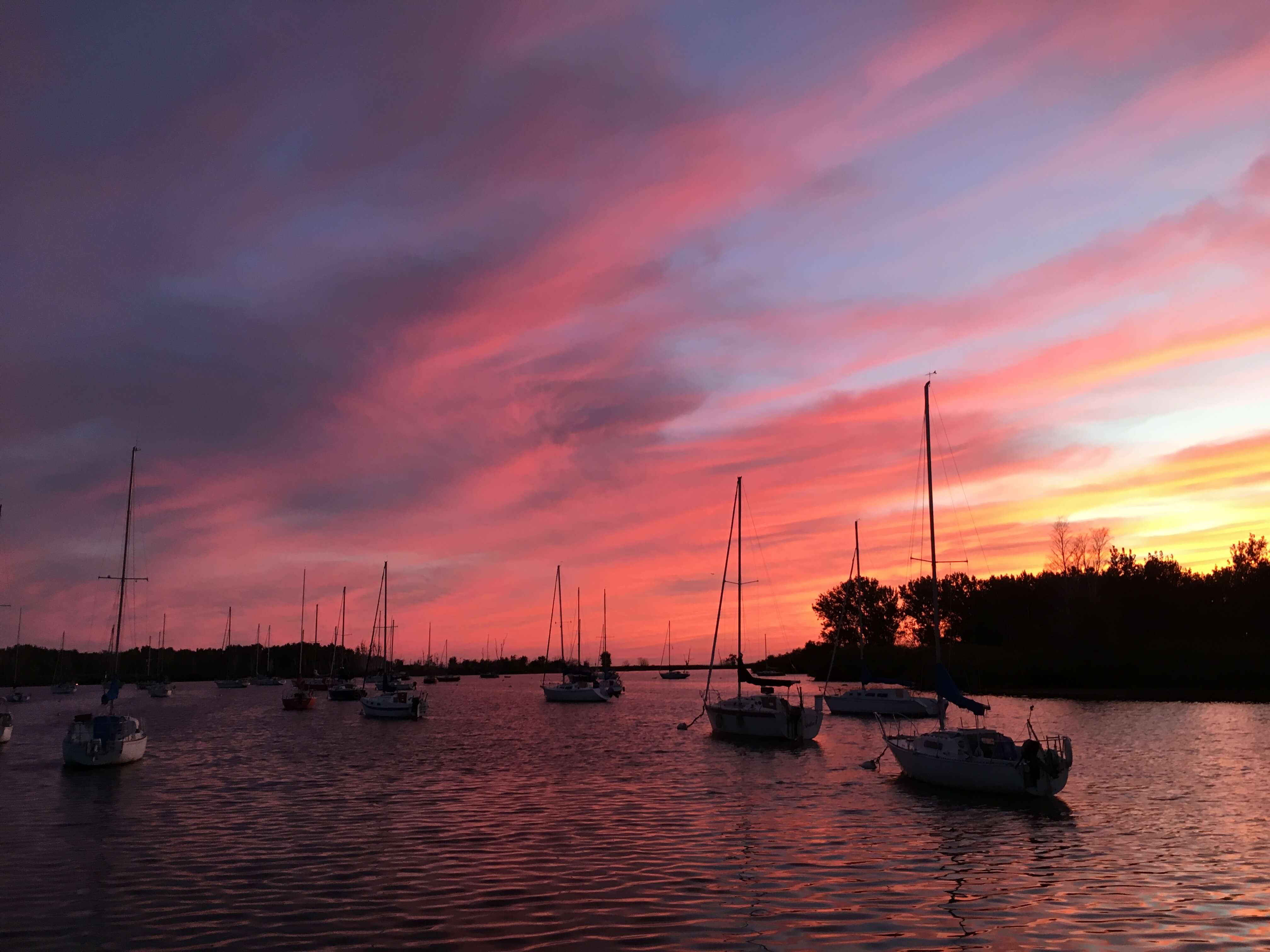 Toronto's Hidden Sailing Gem Aquatic Park Sailing Club • Windfaring