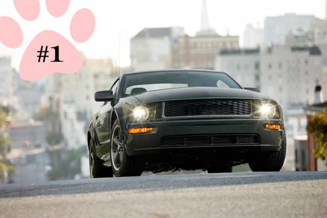 List: Top 11 Animal-Themed Vehicle Names of All Time - Winding Road