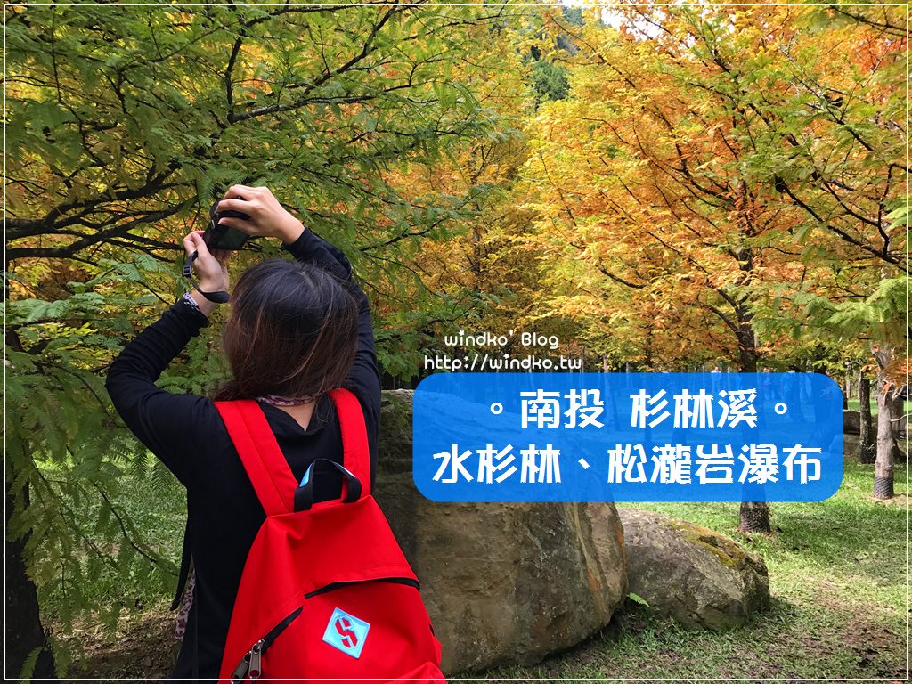 南投竹山∥ 杉林溪賞楓趣。黃金水杉林秋季換裝的繽紛色調、松瀧岩瀑布