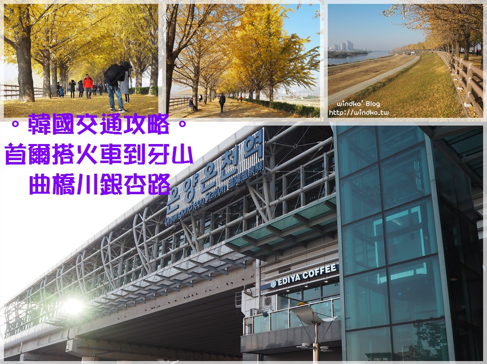 韓國賞銀杏行程∥ 首爾龍山站搭無窮花號到牙山溫陽溫泉站，轉搭計程車到曲橋川銀杏路